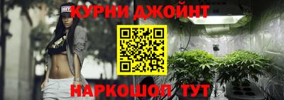 индика Пугачёв