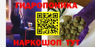 индика Пугачёв