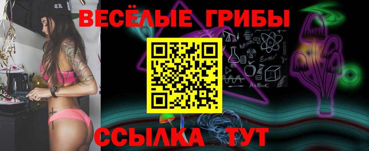 Галлюциногенные грибы Psilocybe Рязань
