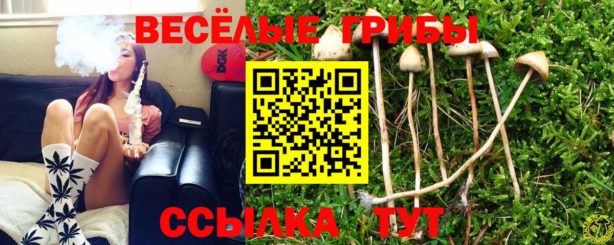 Галлюциногенные грибы Cubensis  Вход с VPN  где купить   Рязань 